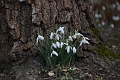 20 02 12_6152_edited-1